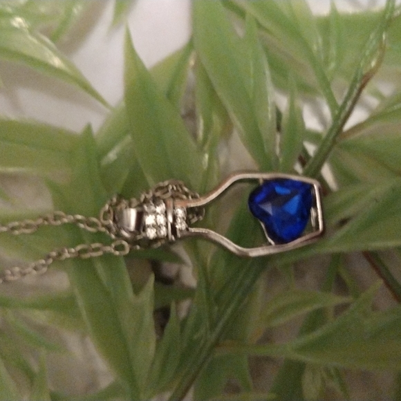 Accessories - Blue Crystal Cubic Zirconia Wishing Bottle Necklace